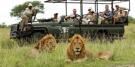 Blog | Safari Guide Africa