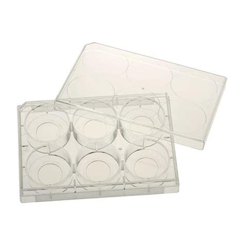 Celltreat Plato M Ltiple Tratado Con Tapa Para Cultivo De