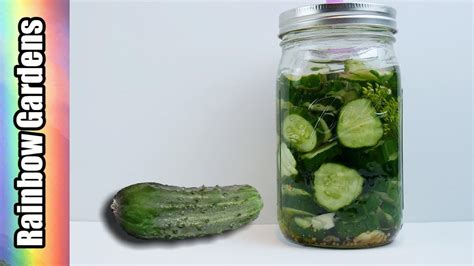 Lacto Fermented Pickle Recipe Blog Dandk