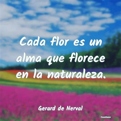 Cada Flor Es Un Alma Que Florece En La Naturaleza Frases