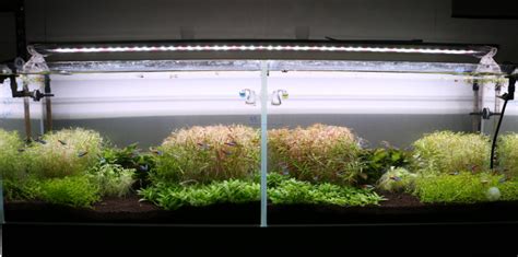 The Ultimate Guide To Using Co2 In The Planted Aquarium Aquapros