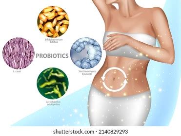 Intestinal Microflora Healthy Digestion Good Human Stock Vector