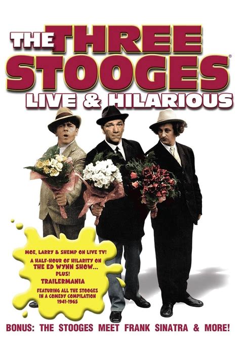 Three Stooges: Live And Hilarious - Where to Watch and Stream - TV Guide