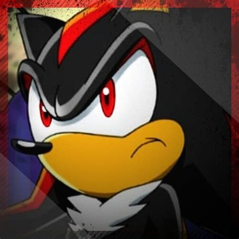 276 best images about Shadow the hedgehog on Pinterest | Shadow the ...
