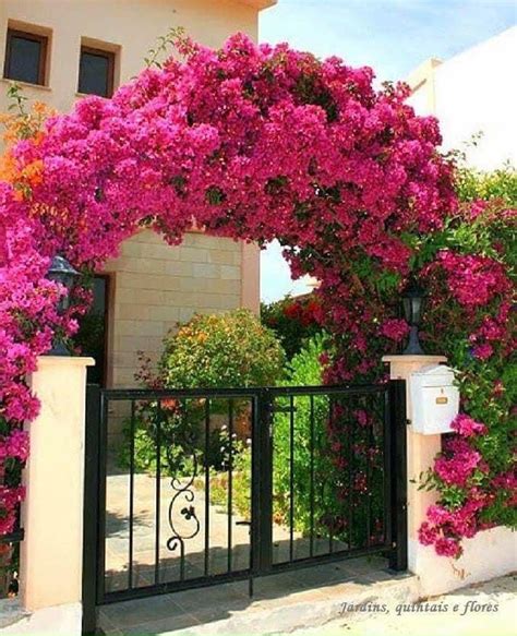 An Iron Gate With Pink Flowers Growing Over It