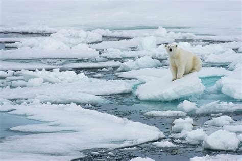 Nasa Polar Ice Caps Melting