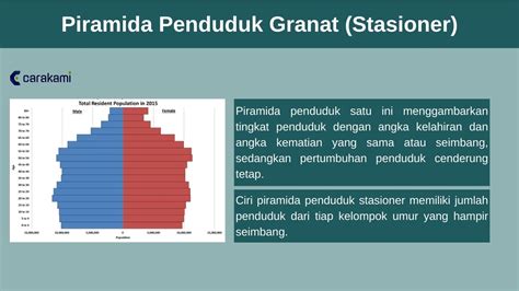 Piramida Penduduk Indonesia Pengertian Fungsi Jenis Gambar