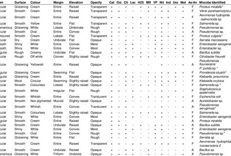 Table From Biochemical Characterization And Identification Of