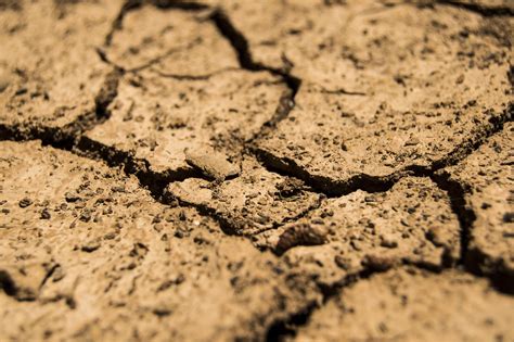 20000 Free Drought Rain And Rain Images Pixabay
