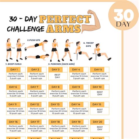 30 Day Easy Level Arm Challenge Printable Pdf Printable Arm Workout Plan For Beginners Printable