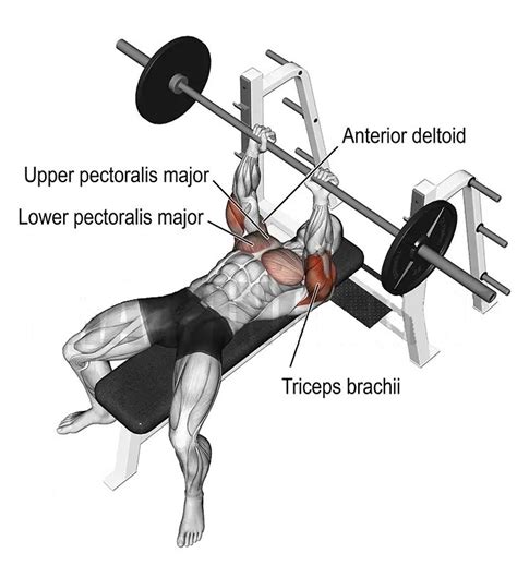 Master the Close Grip Bench: Build Bigger Triceps and Chest