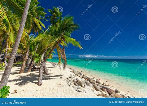 Beach With Coconut Palm Trees And Clear Lagoon On Fiji Islands Stock