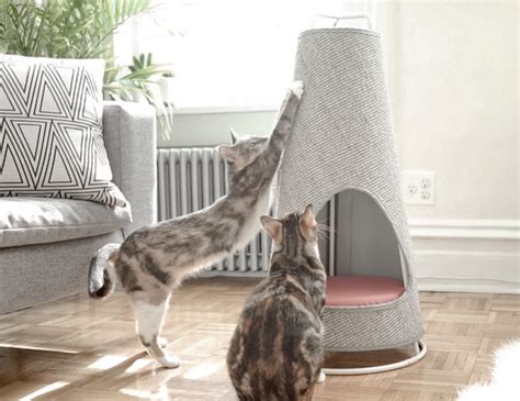 Products We Love: This Cat Scratching Post That Doubles as a Bed