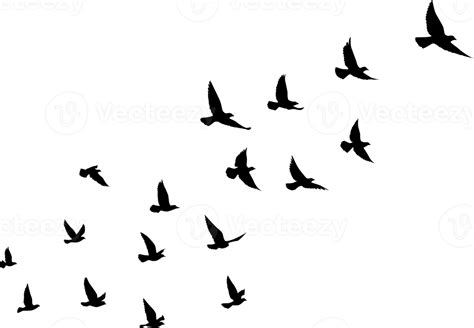 Flying birds silhouettes pattern wallpaper. PNG transparent. isolated ...