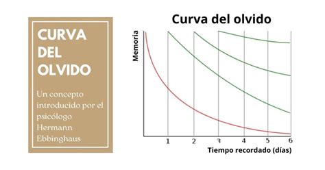 La Curva Del Olvido