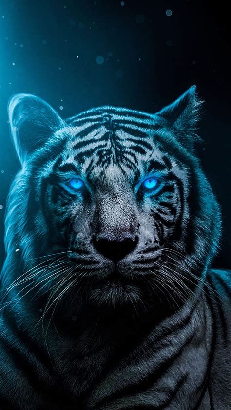 Tiger Iphone Harimau Albino Hd Phone Wallpaper Pxfuel