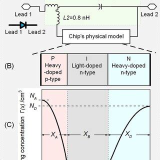 PIN diode model. A, The model of a packaged PIN diode, including the ...