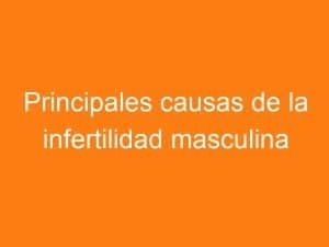 Infertilidad Masculina Principales Causas Sanibook