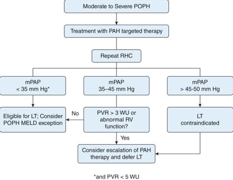 Portopulmonary Hypertension Chest