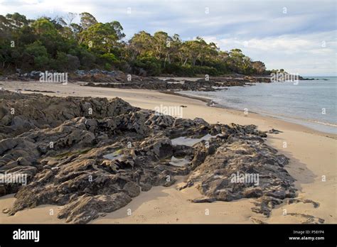 Beach at Bridport Stock Photo - Alamy