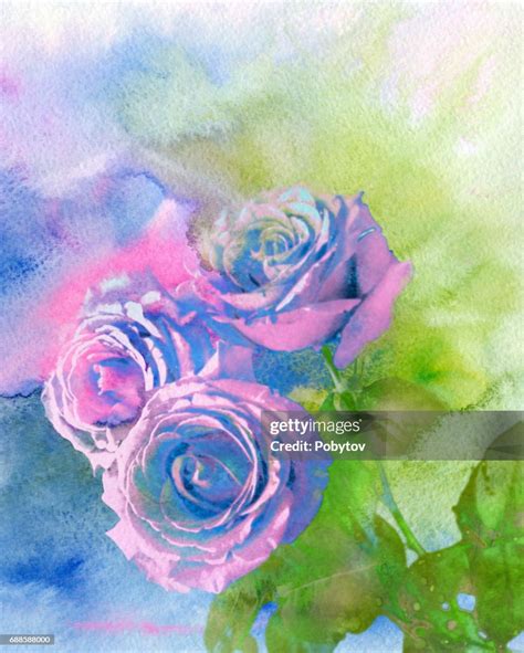 Rose Watercolor Background High-Res Vector Graphic - Getty Images