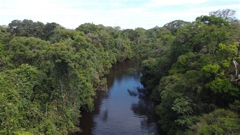 The Amazon, Ecuador - Cross Cultural Couple