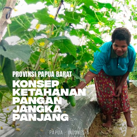 Pemprov Papua Siapkan Konsep Ketahanan Pangan Jangka Panjang Papua