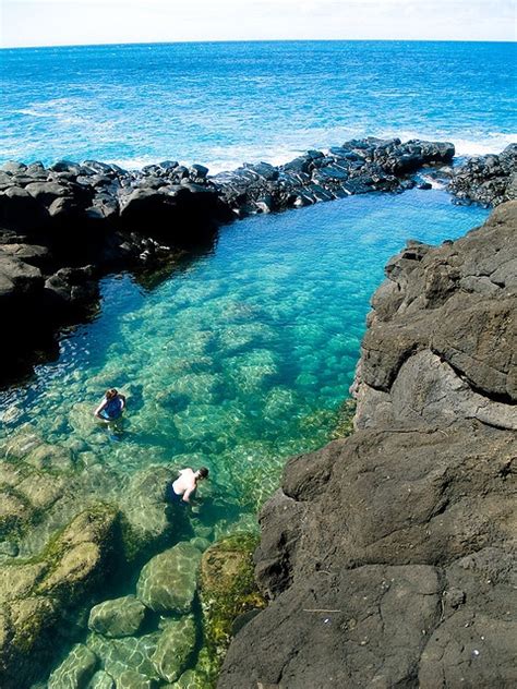 Queen S Bath Vertical Kauai Travel Hawaii Travel Queens Bath Kauai