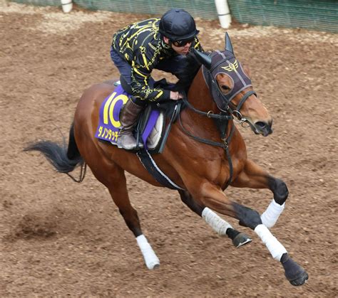 【皐月賞】ダノンタッチダウン坂路12秒0、安田隆師「去年より良くなった」／g1追い切り速報 3歳馬特集 競馬写真ニュース 日刊スポーツ