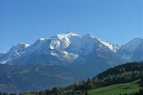 Melting of glaciers in Alps threatens biodiversity of invertebrates ...