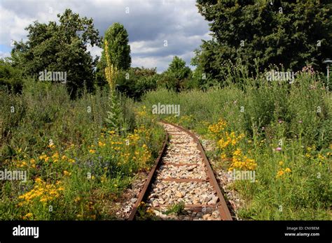 Overgrown Railway Track Hi Res Stock Photography And Images Alamy