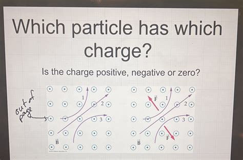 Solved Which Particle Has Which Charge Is The Charge Positive