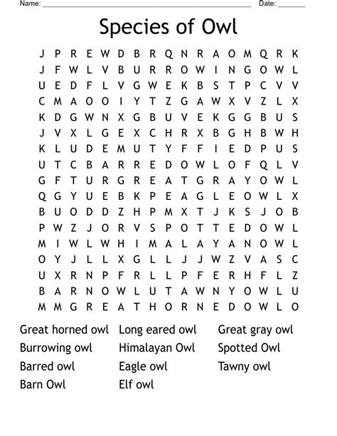 Species Of Owl Word Search Wordmint