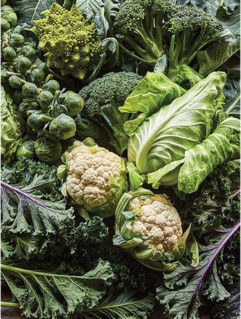 6 Health Benefits Of Brassicas Burpee