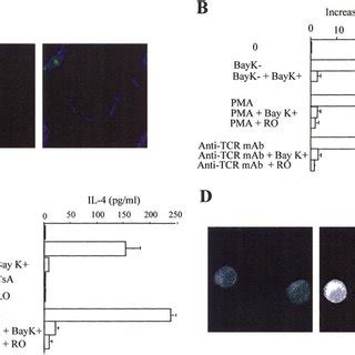 Weak Tcr Stimulation Induces A Calcium Response A G T Cells Were