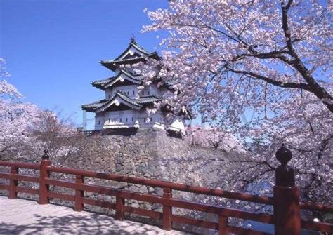 Where to See Cherry Blossoms | A Trail of Tohoku Japan