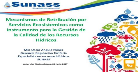 Mecanismos De Retribuci N Por Servicios Ecosistemicos Como Pdf