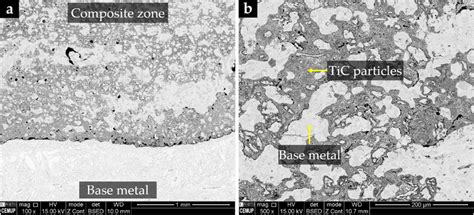 Sem Bse Images Of The Microstructure Of A Reinforcement Produced In A