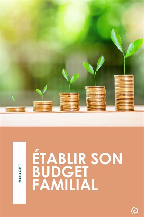 Établir Son Budget Familial Cest Catégoriser Ses Dépenses Et Revenus Des Derniers Mois Pour