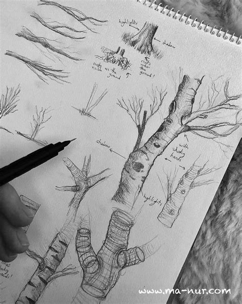 How To Draw Trees Step By Step Simple Trees Drawing Tutorials Artofit