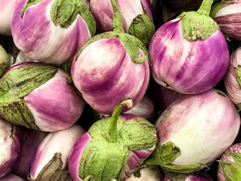 8 Eggplant Varieties From Around the World | Eggplant varieties, Eggplant seeds, Heirloom seeds