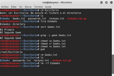 Comandos B Sicos Y Esenciales De Linux Unix Esgeeks