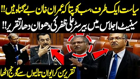 Senate Ijlas Mein Barrister Ali Zafar Ki Taqreer Sun Kar Aiwan Taliyon