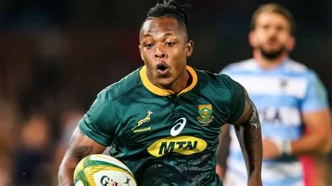 Nienaber Recalls Nkosi To Boks Squad Rugby