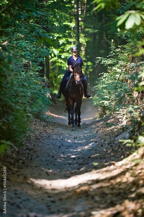 jeune fille cavalière adolescente montant un cheval pur sang irlandais