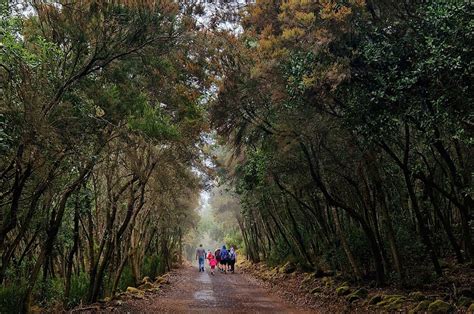 Senderismo en Anaga para familias Atlántico Guías