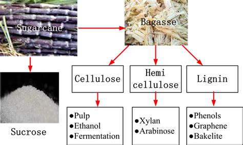 Hemicellulose Structure