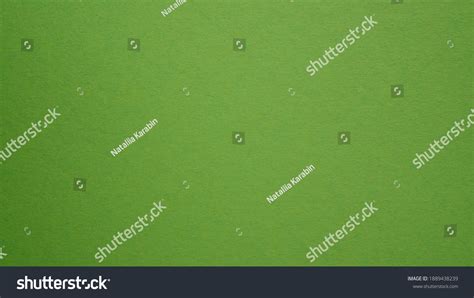 Green Color Wall Texture Background Forest Stock Photo 1889438239