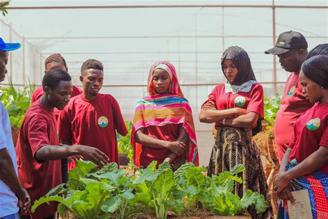 Youth In Agriculture And Skills Development