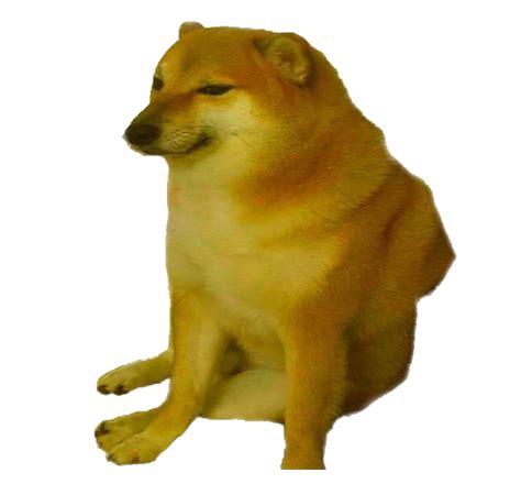 Doge Head, Meme Art, Canine Icon PNG Image